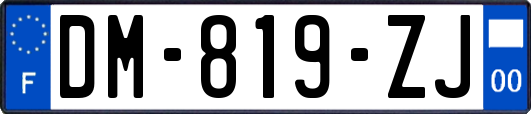 DM-819-ZJ