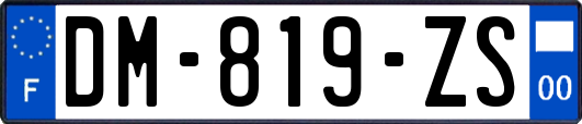 DM-819-ZS