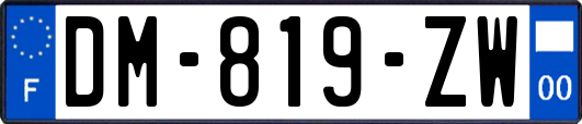 DM-819-ZW