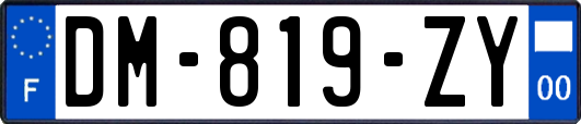 DM-819-ZY