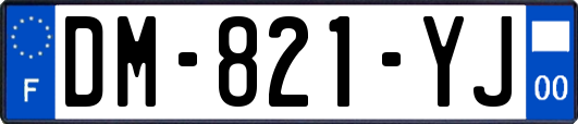 DM-821-YJ