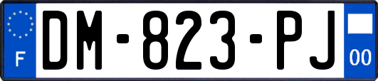 DM-823-PJ