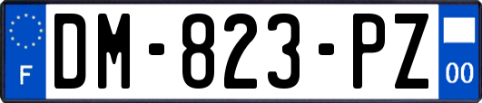 DM-823-PZ
