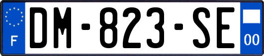 DM-823-SE