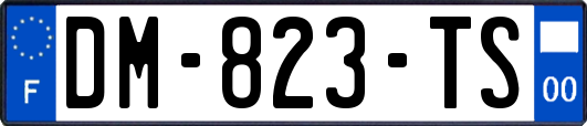 DM-823-TS