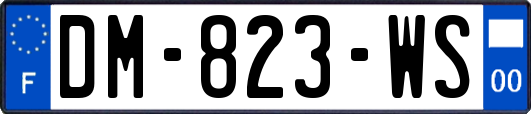 DM-823-WS