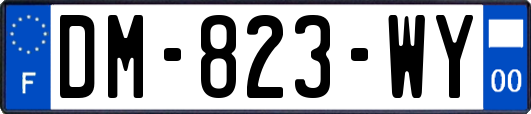 DM-823-WY