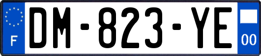 DM-823-YE