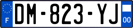 DM-823-YJ