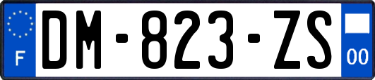 DM-823-ZS