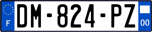 DM-824-PZ