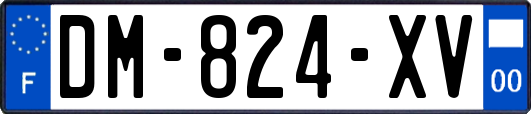 DM-824-XV