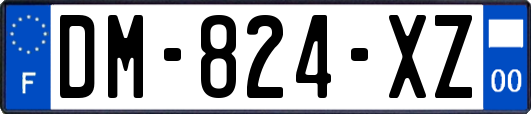 DM-824-XZ