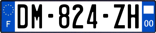 DM-824-ZH