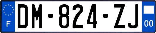 DM-824-ZJ