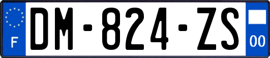 DM-824-ZS