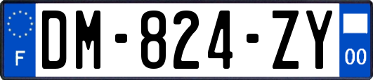 DM-824-ZY