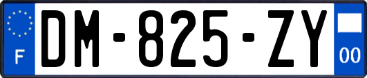 DM-825-ZY