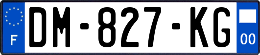 DM-827-KG