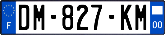 DM-827-KM
