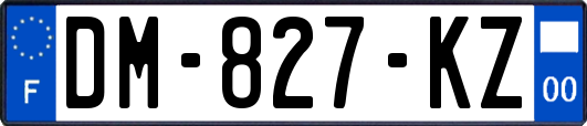 DM-827-KZ