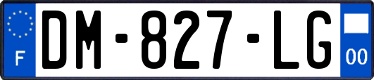 DM-827-LG