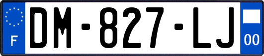 DM-827-LJ