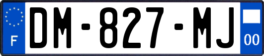 DM-827-MJ