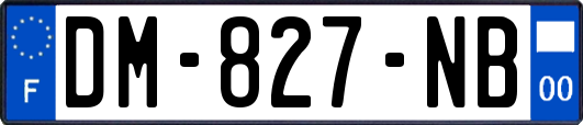 DM-827-NB