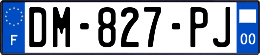 DM-827-PJ