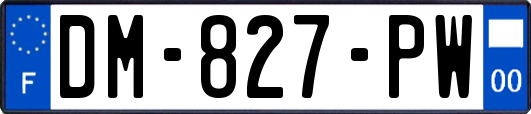 DM-827-PW