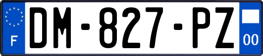 DM-827-PZ