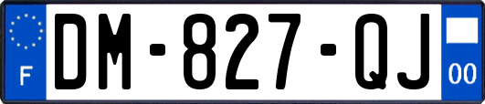DM-827-QJ