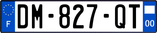 DM-827-QT