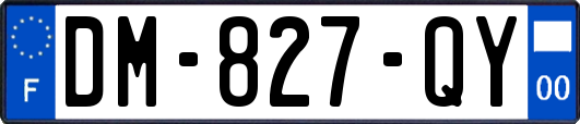 DM-827-QY