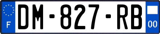 DM-827-RB