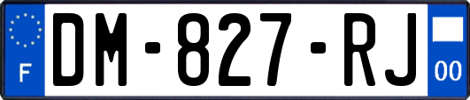 DM-827-RJ