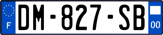 DM-827-SB