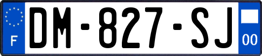 DM-827-SJ
