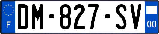 DM-827-SV