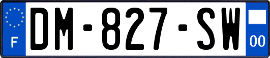 DM-827-SW