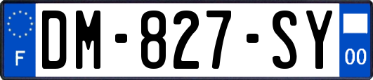 DM-827-SY