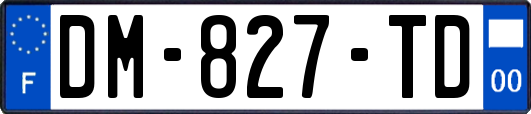 DM-827-TD