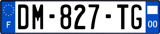DM-827-TG