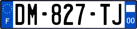 DM-827-TJ