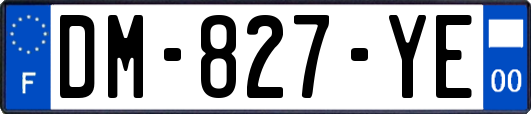 DM-827-YE