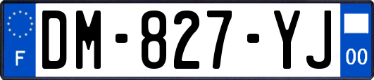 DM-827-YJ