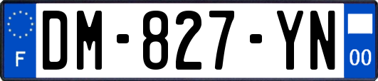 DM-827-YN