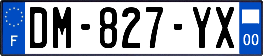 DM-827-YX