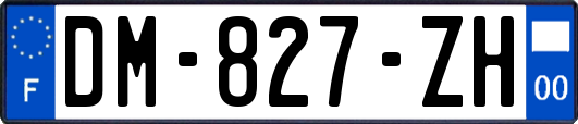 DM-827-ZH